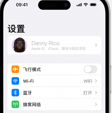 望都appleID维修服务iPhone设置中Apple ID显示为灰色无法使用 