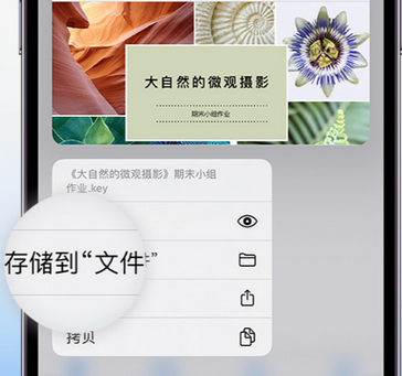 望都apple维修中心分享iPhone文件应用中存储和找到下载文件