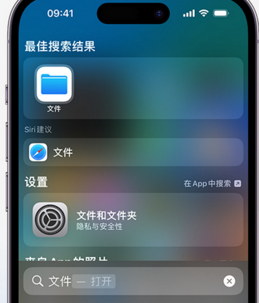 望都apple维修中心分享iPhone文件应用中存储和找到下载文件