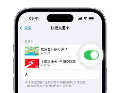 望都apple维修点分享iPhone上更换Apple Pay快捷交通卡手绘卡面 