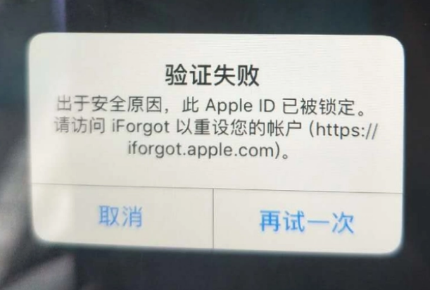 望都iPhone维修分享iPhone上正常登录或使用AppleID怎么办 