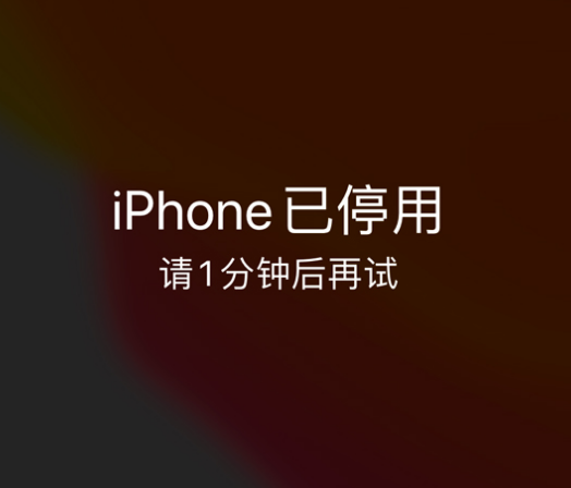 望都苹果手机维修分享:iPhone 显示“不可用”或“已停用”怎么办？还能保留数据吗？ 