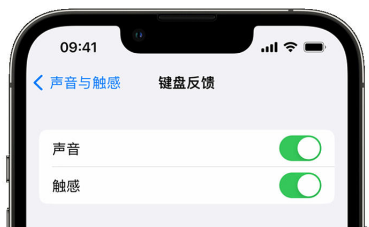 望都苹果手机维修分享iPhone 14触感键盘使用方法 