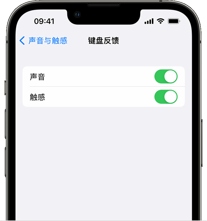 望都苹果14维修店分享如何在 iPhone 14 机型中使用触感键盘 