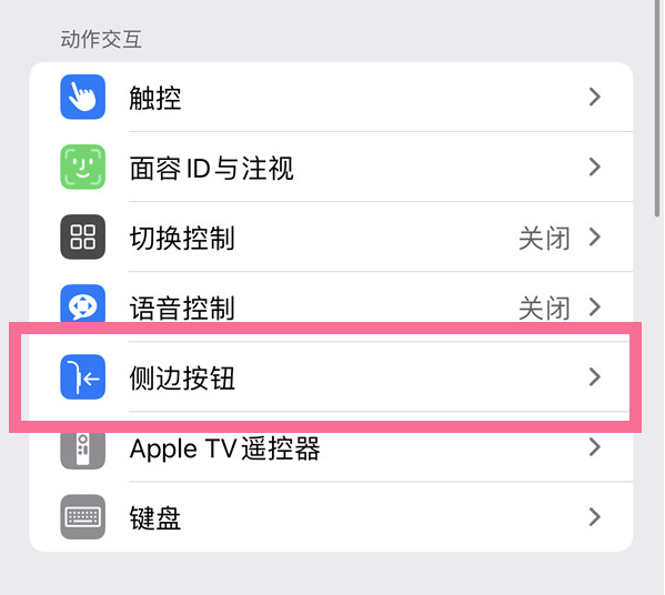 望都苹果14维修店分享iPhone14 Plus侧键双击下载功能关闭方法 