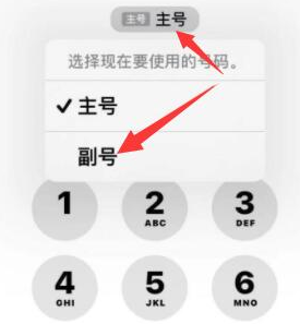 望都苹果14维修店分享iPhone 14 Pro Max使用副卡打电话的方法 