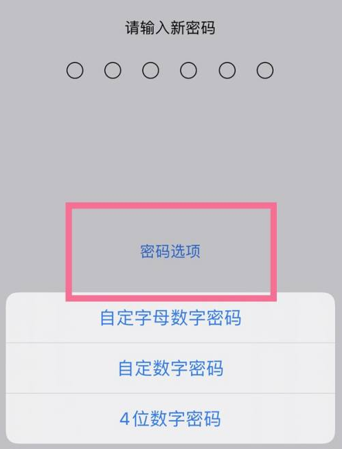 望都苹果14维修分享iPhone 14plus设置密码的方法 