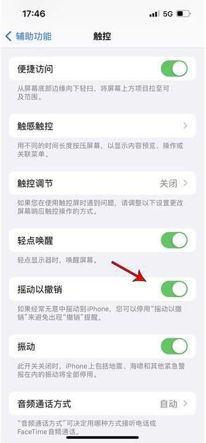 望都苹果手机维修分享iPhone手机如何设置摇一摇删除文字 