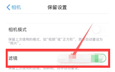 望都苹果13维修分享iPhone13拍照有绿点是怎么回事 