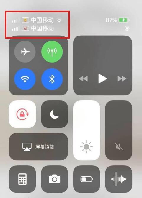 望都苹果手机维修分享为 iPhone 12 双卡设置标签 